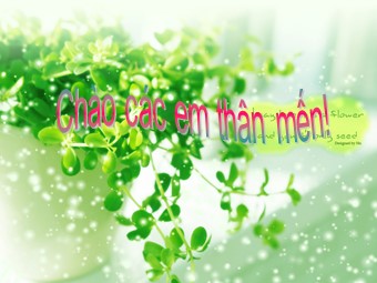 Bài giảng Địa lí Lớp 11 - Bài 11: Khu vực Đông Nam Á - Tiết 1: Tự nhiên, dân cư và xã hội