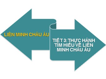Bài giảng Địa lí Lớp 11 - Bài 7: Liên minh châu Âu EU - Tiết 3: Thực hành tìm hiểu về liên minh châu Âu (Bản hay)