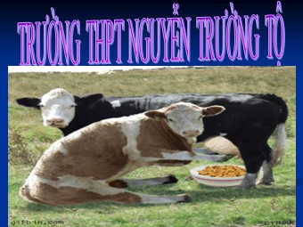Bài giảng Địa lí Lớp 11 - Bài 7: Liên minh châu Âu EU - Tiết 4: Cộng hòa liên bang Đức - Trường THPT Nguyễn Trường Tộ