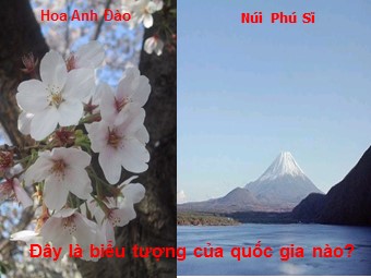 Bài giảng Địa lí Lớp 11 - Bài 9: Nhật Bản - Tiết 1: Tự nhiên, dân cư và tình hình phát triển kinh tế (Bản chuẩn kĩ năng)