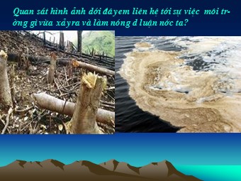 Bài giảng Địa lí Lớp 12 - Bài 14: Sử dụng và bảo vệ tài nguyên thiên nhiên (Bản chuẩn kiến thức)