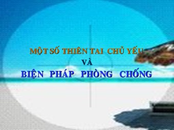 Bài giảng Địa lí Lớp 12 - Bài 15: Bảo vệ môi trường và phòng chống thiên tai (Chuẩn kiến thức)