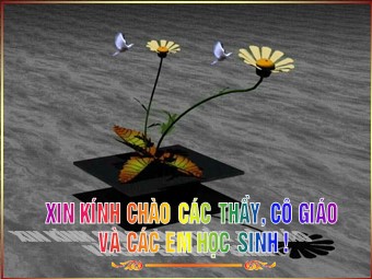 Bài giảng Địa lí Lớp 12 - Bài 16: Đặc điểm dân số và phân bố dân cư nước ta (Chuẩn kiến thức)