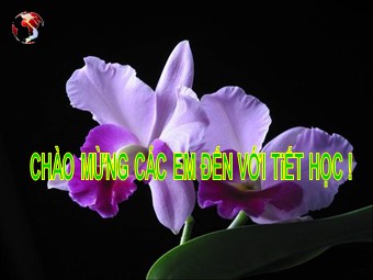 Bài giảng Địa lí Lớp 12 - Bài 17: Lao động và việc làm - Nguyễn Văn Thắng
