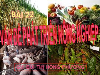 Bài giảng Địa lí Lớp 12 - Bài 22: Vấn đề phát triển nông nghiệp - Bùi Thị Hồng Phương