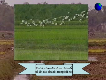 Bài giảng Địa lí Lớp 12 - Bài 22: Vấn đề phát triển nông nghiệp