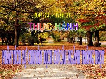 Bài giảng Địa lí Lớp 12 - Bài 23: Thực hành
