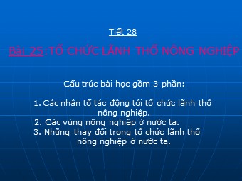 Bài giảng Địa lí Lớp 12 - Bài 25: Tổ chức lãnh thổ nông nghiệp