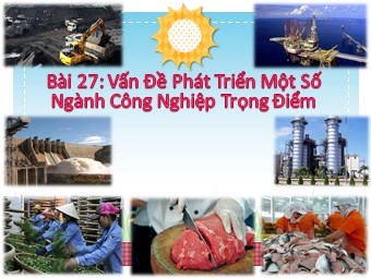 Bài giảng Địa lí Lớp 12 - Bài 27: Vấn đề phát triển một số ngành công nghiệp trọng điểm (Bản hay)