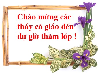 Bài giảng Địa lí Lớp 12 - Bài 29: Thực hành 