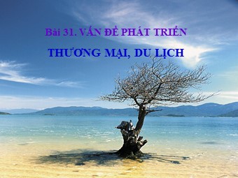 Bài giảng Địa lí Lớp 12 - Bài 31: Vấn đề phát triển thương mại, du lịch