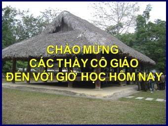 Bài giảng Địa lí Lớp 12 - Bài 31: Vấn đề phát triển thương mại, du lịch (Bản chuẩn kiến thức)