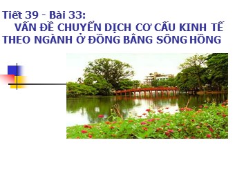 Bài giảng Địa lí Lớp 12 - Bài 33: Vấn đề chuyển dịch cơ cấu kinh tế theo ngành ở đồng bằng Sông Hồng (Bản đẹp)
