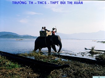Bài giảng Địa lí Lớp 12 - Bài 37: Vấn đề khai thác thế mạnh ở Tây Nguyên - Trường THPT Bùi Thị Xuân