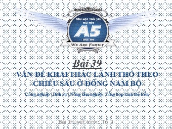 Bài giảng Địa lí Lớp 12 - Bài 39: Vấn đề khai thác lãnh thổ theo chiều sâu ở Đông Nam Bộ