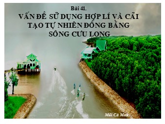 Bài giảng Địa lí Lớp 12 - Bài 41: Vấn đề sử dụng hợp lí và cải tạo tự nhiên đồng bằng sông Cửu Long