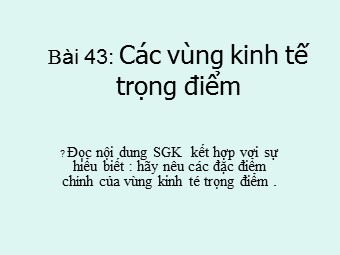 Bài giảng Địa lí Lớp 12 - Bài 43: Các vùng kinh tế trọng điểm (Bản hay)