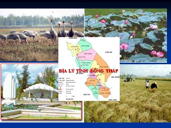 Bài giảng Địa lí Lớp 12 - Bài 44: Địa lý tỉnh Đồng Tháp