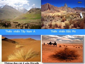 Bài giảng Địa lí Lớp 12 - Bài 9, Phần 1: Thiên nhiên nhiệt đới ẩm gió mùa - Trường THPT Nguyễn Khuyến