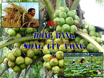 Bài giảng Địa lí Lớp 9 - Bài 2: Đồng bằng sông Cửu Long