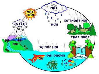 Bài giảng điện tử Địa lí Lớp 10 - Thuỷ quyển. Một số nhân tố ảnh hưởng tới chế độ nước sông. Một số sông lớn trên Trái Đất