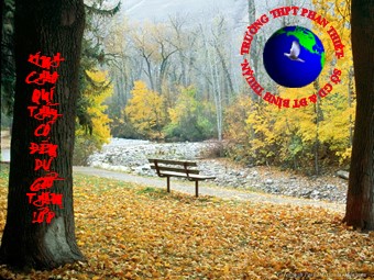 Bài giảng môn Địa lí Lớp 10 - Bài 40: Địa lí ngành thương mại (Chuẩn kiến thức)