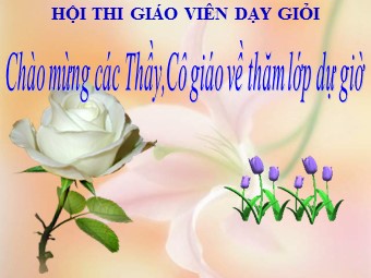 Bài giảng môn Địa lí Lớp 11 - Bài 11: Khu vực Đông Nam Á - Tiết 1: Tự nhiên, dân cư và xã hội (Bản mới)