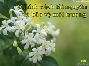 Bài giảng môn Giáo dục công dân Lớp 11 - Bài 12: Chính sách tài nguyên và bảo vệ môi trường (Bản hay)