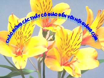 Bài giảng môn Vật lí Lớp 11 - Bài 21: Từ trường của dòng điện chạy trong các dây dẫn có hình dạng đặc biệt (Bản đẹp)