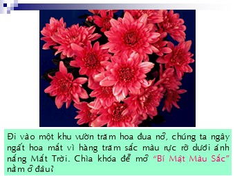 Bài giảng môn Vật lí Lớp 12 - Bài 24: Tán sắc ánh sáng