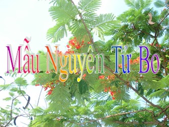 Bài giảng môn Vật lí Lớp 12 - Bài 33: Mẫu nguyên tử Bo (Chuẩn kĩ năng)