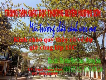 Bài giảng Vật lí Lớp 11 - Bài 13: Dòng điện trong kim loại - Trịnh Trung Nhật