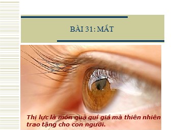 Bài giảng Vật lí Lớp 11 - Bài 31: Mắt (Bản chuẩn kiến thức)