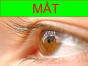Bài giảng Vật lí Lớp 11 - Bài 31: Mắt (Bản mới)