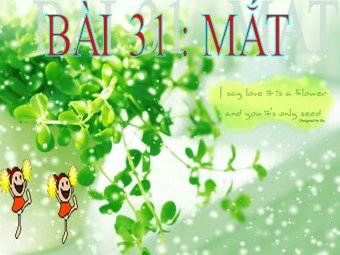 Bài giảng Vật lí Lớp 11 - Bài 31: Mắt (Chuẩn kĩ năng)