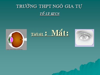 Bài giảng Vật lí Lớp 11 - Bài 31: Mắt - Trường THPT Ngô Gia Tự