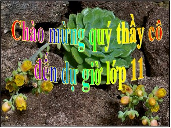 Bài giảng Vật lí Lớp 11 - Bài 5: Điện thế. Hiệu điện thế (Chuẩn kiến thức)