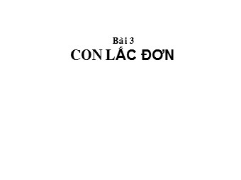 Bài giảng Vật lí Lớp 12 - Bài 3: Con lắc đơn (Chuẩn kĩ năng)