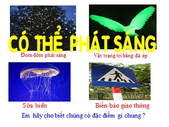 Bài giảng Vật lí Lớp 12 - Bài 32: Hiện tượng quang. Phát quang