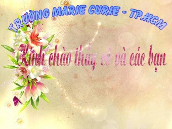 Bài giảng Vật lí Lớp 12 - Bài 33: Mẫu nguyên tử Bo (Bản hay)