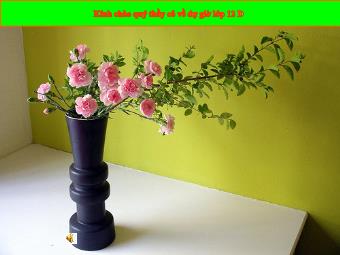 Bài giảng Vật lí Lớp 12 - Bài 37: Phóng xạ - Trường THPT Tân Ninh