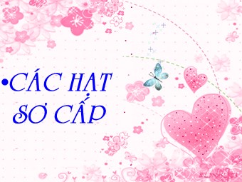 Bài giảng Vật lí Lớp 12 - Bài 40: Các hạt sơ cấp