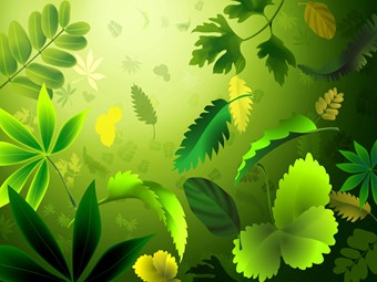 Bài giảng Vật lí Lớp 12 - Bài: Dòng điện xoay chiều trong mạch R, L, C mắc nối tiếp