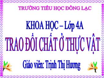 Bài giảng Khoa học 4 - Bài: Trao đổi chất ở thực vật - Trịnh Thị Hương