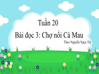 Bài giảng Tiếng Việt 3 - Tuần 20, Bài đọc 3: Chợ nổi Cà Mau