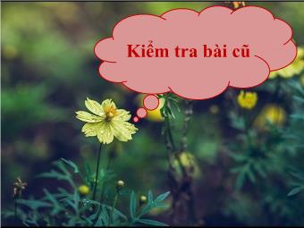 Bài giảng Tiếng Việt 4 (Luyện từ và câu) - Bài: Tính từ